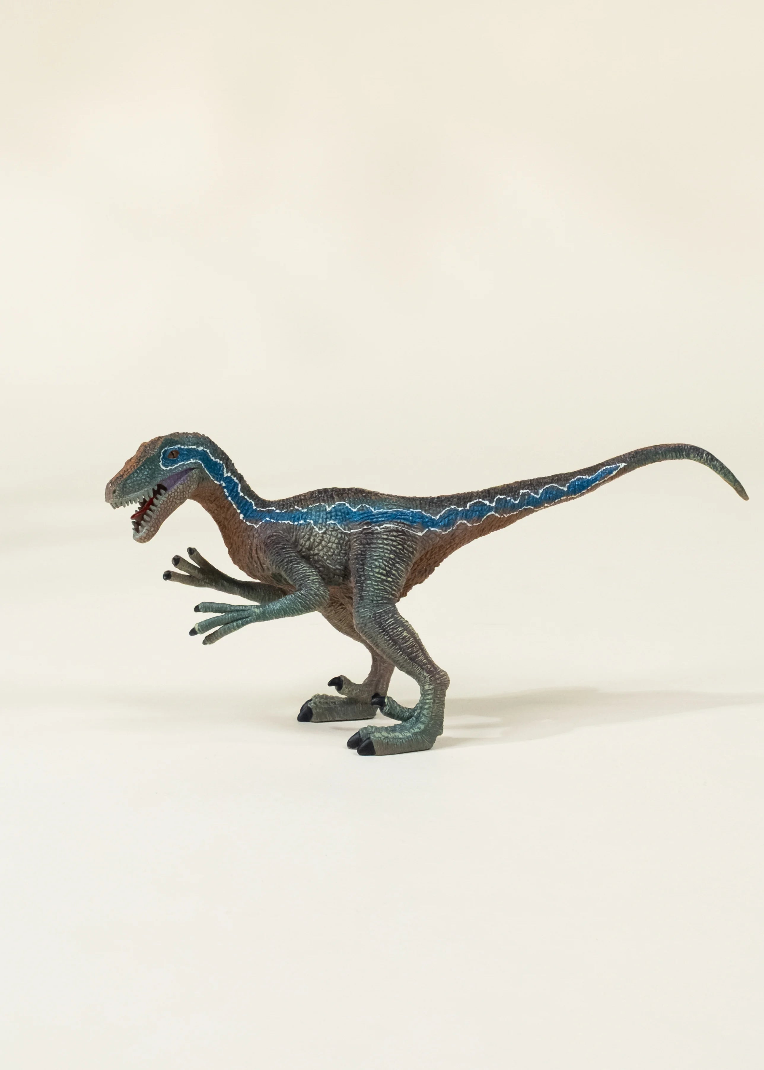 Coco Village Velociraptor Dinosaur in a Collectible Box - Image 6