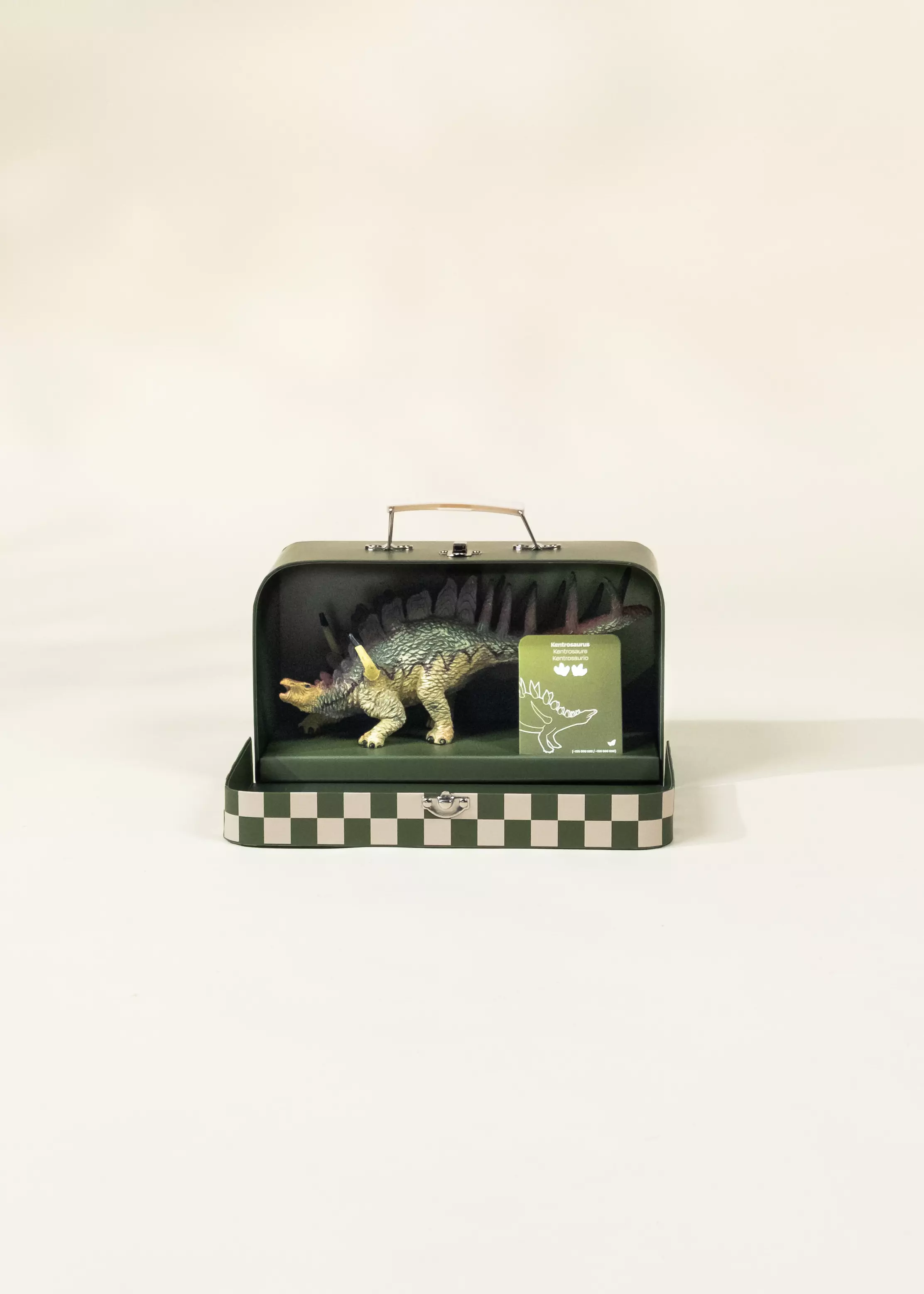 Coco Village Kentrosaurus Dinosaur in a Collectible Box - Image 3