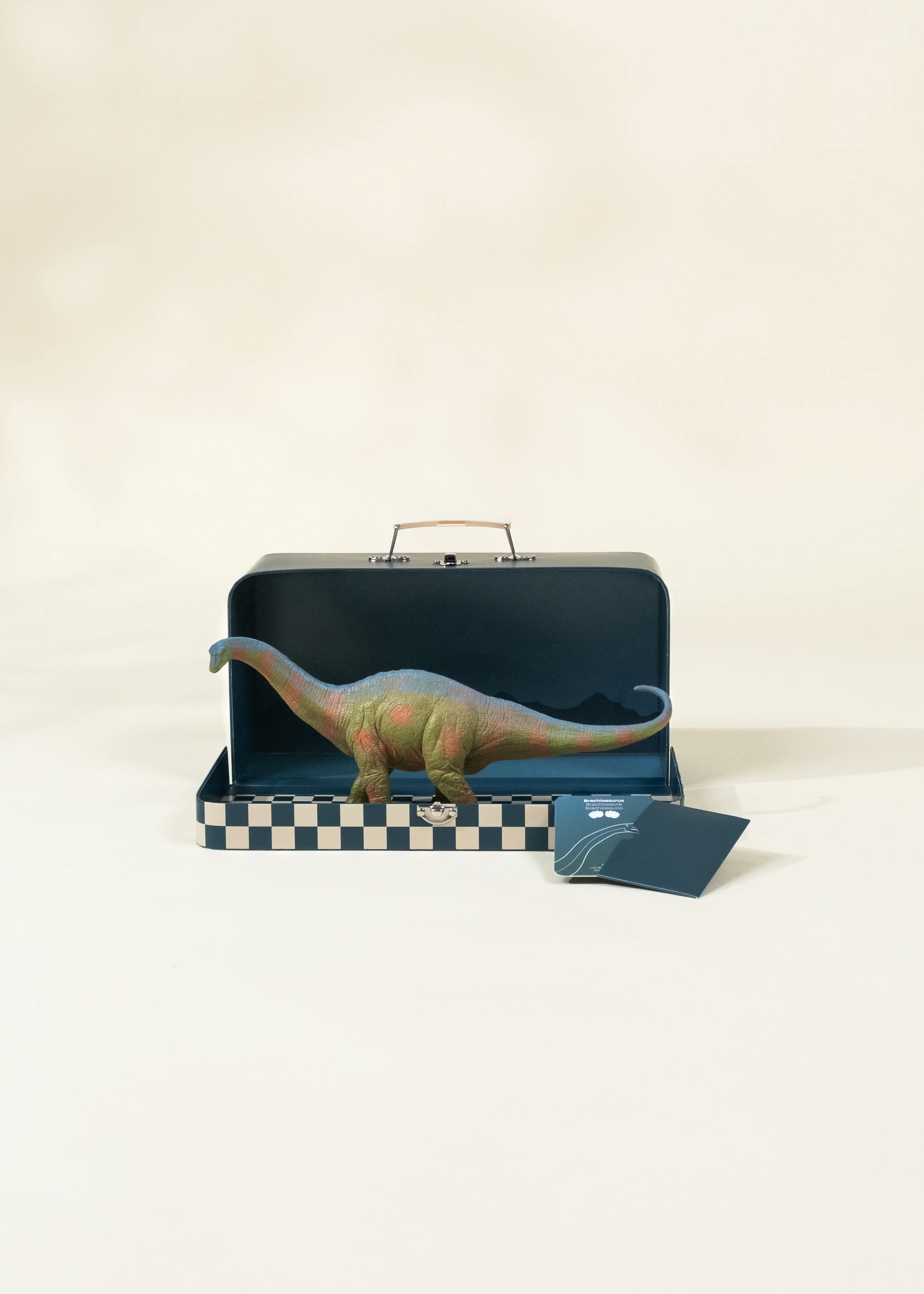 Coco Village Brachiosaurus Dinosaur in a Collectible Box - Image 4