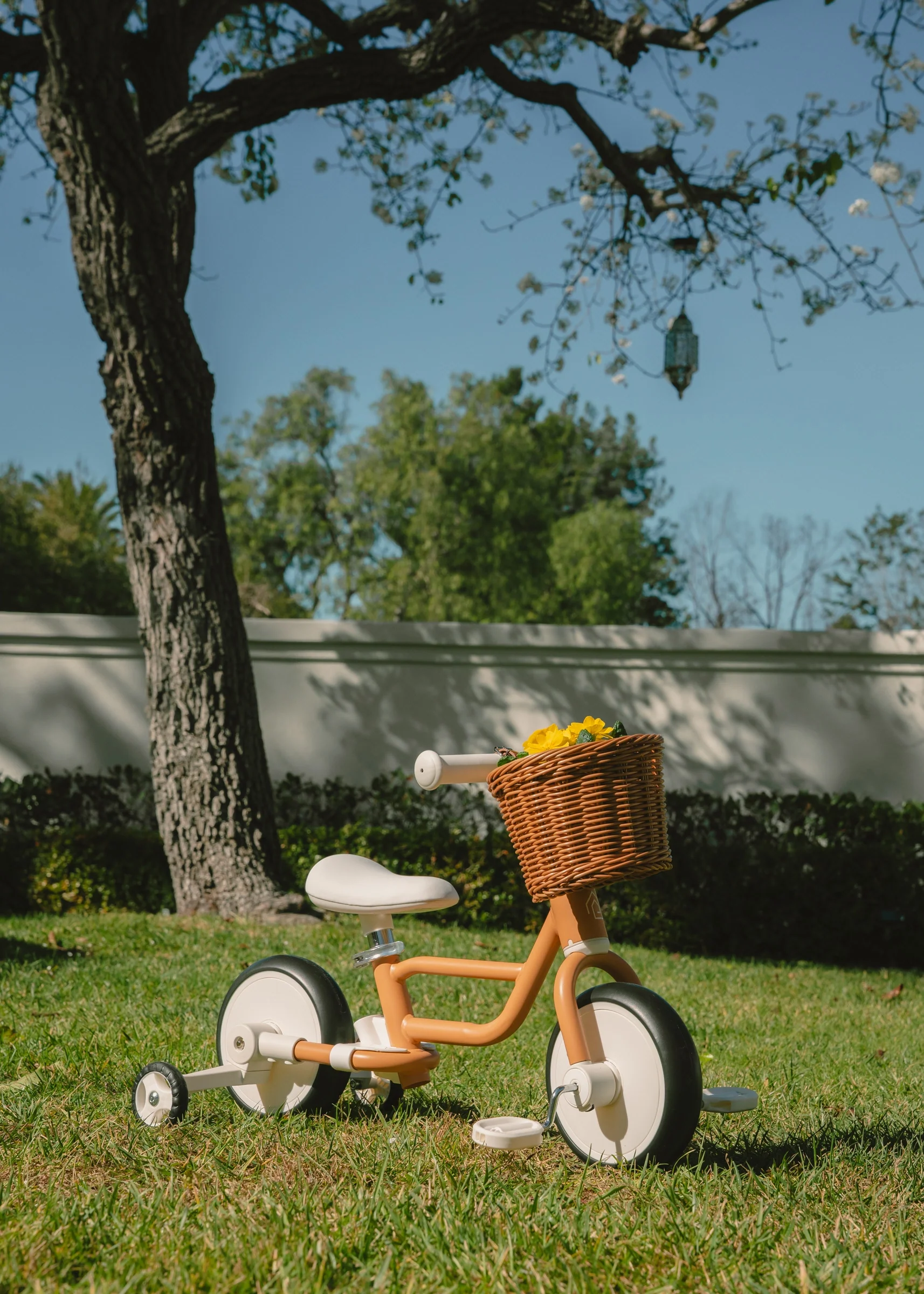 Coco Village 4-in-1 Tricycle with Push Handle & Training Wheels - Ocean - Image 6