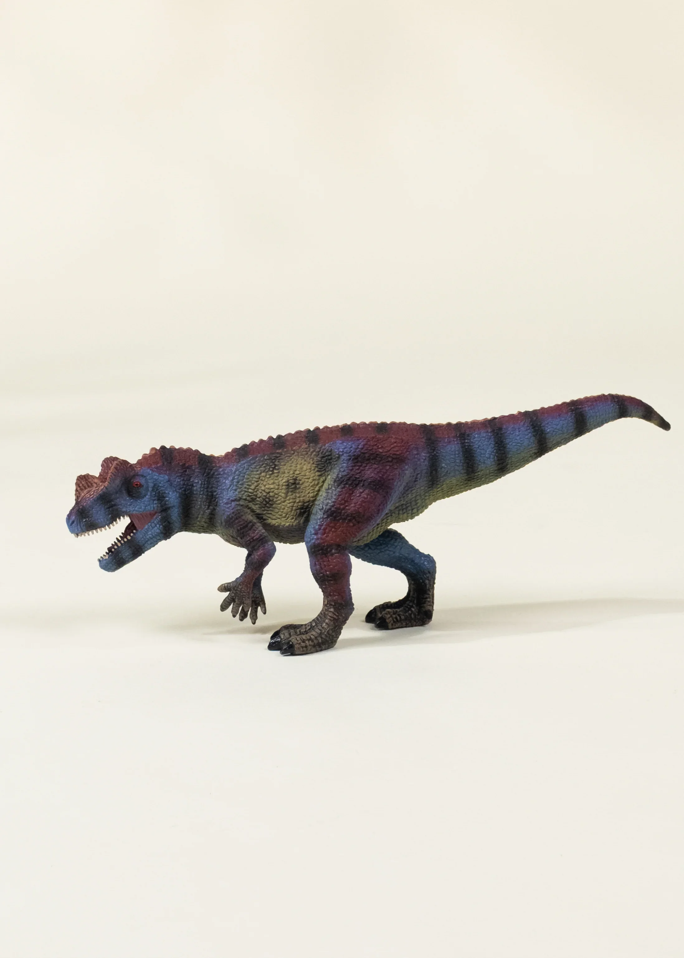 Coco Village Ceratosaurus Dinosaur in a Collectible Box - Image 6