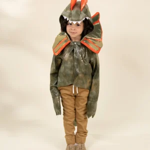 Coco Village Dinosaur Play Costume Cape - 3-4Y