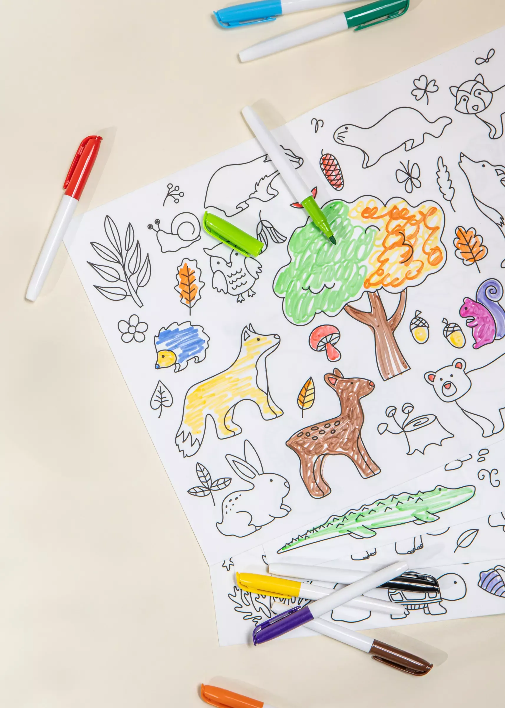 Coco Village Set of 4 Silicone Washable Coloring Placemats & Markers - Image 8
