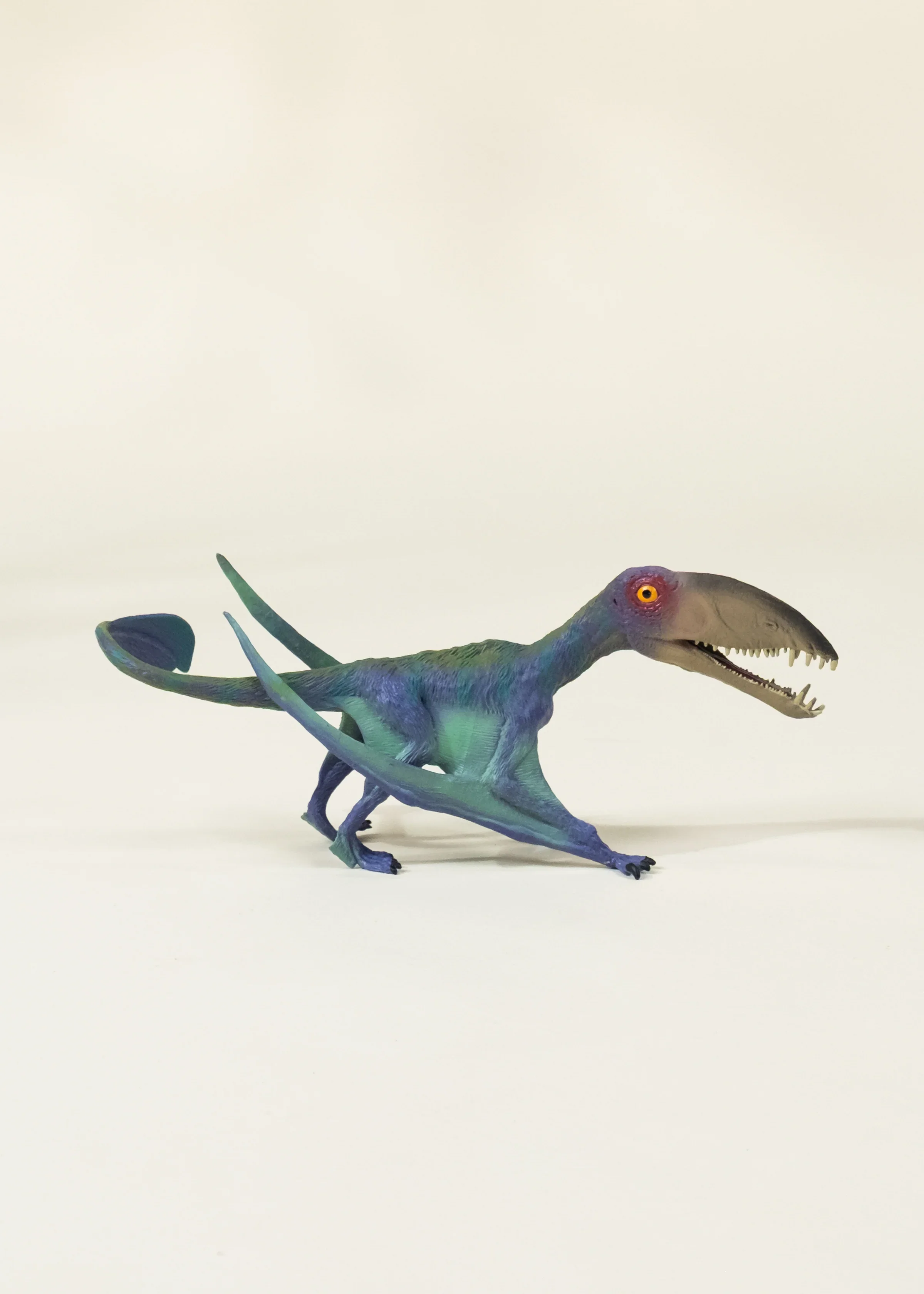 Coco Village Pterosauria Dinosaur in a Collectible Box - Image 6