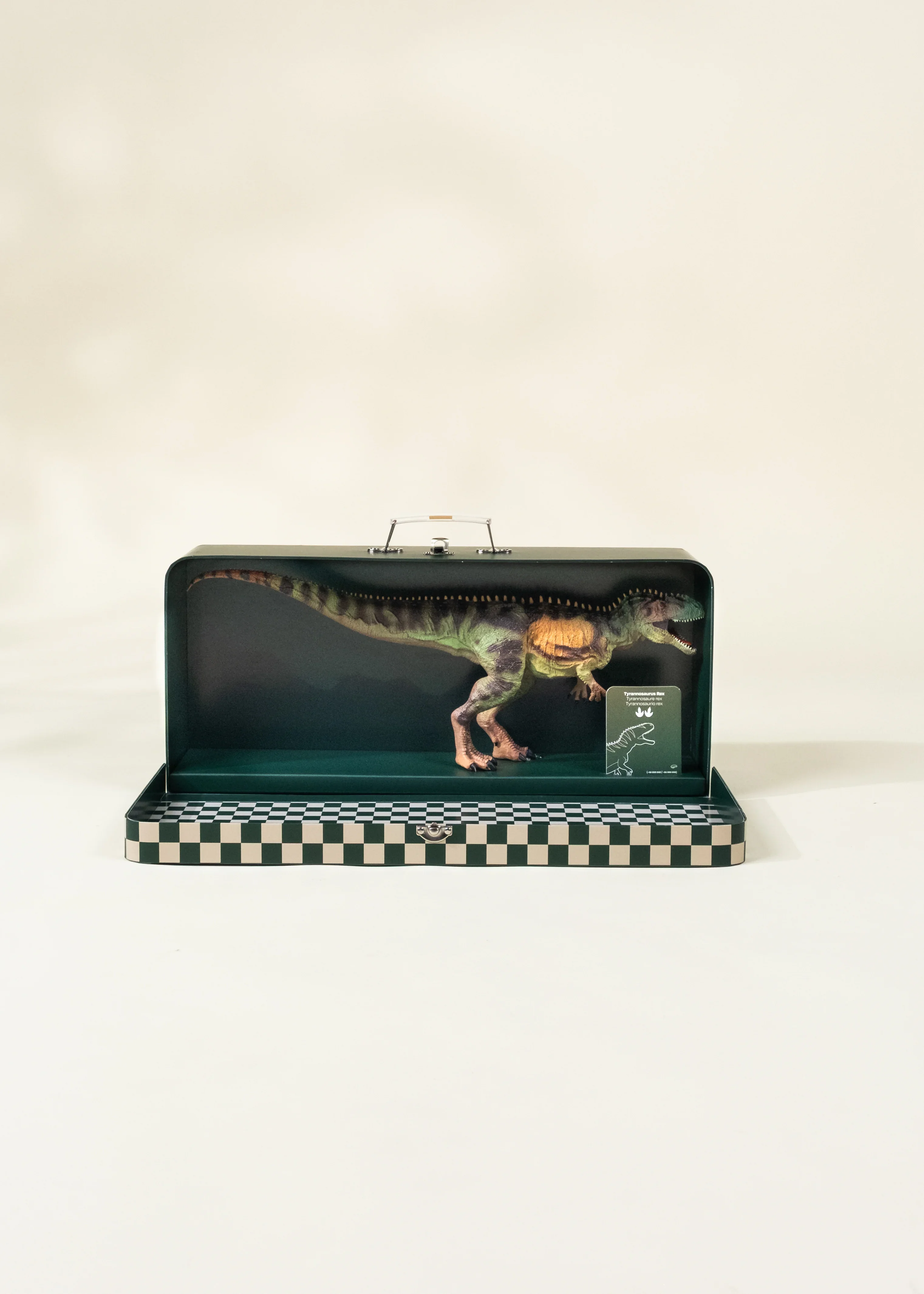 Coco Village Tyrannosaurus Rex Dinosaur in a Collectible Box - Image 5