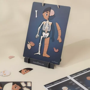 Coco Village Magnetic Interactive Board – My Body
