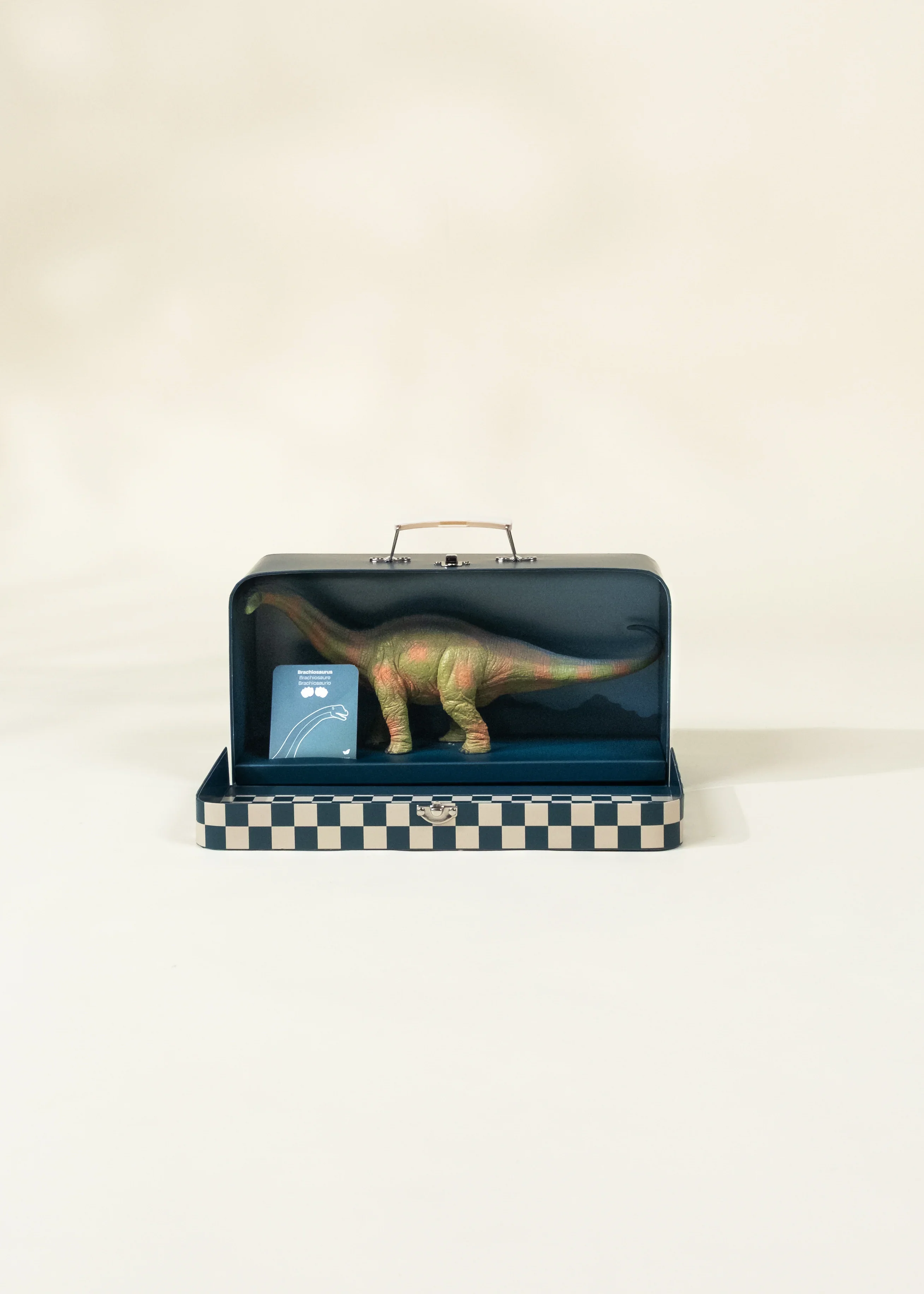 Coco Village Brachiosaurus Dinosaur in a Collectible Box - Image 3