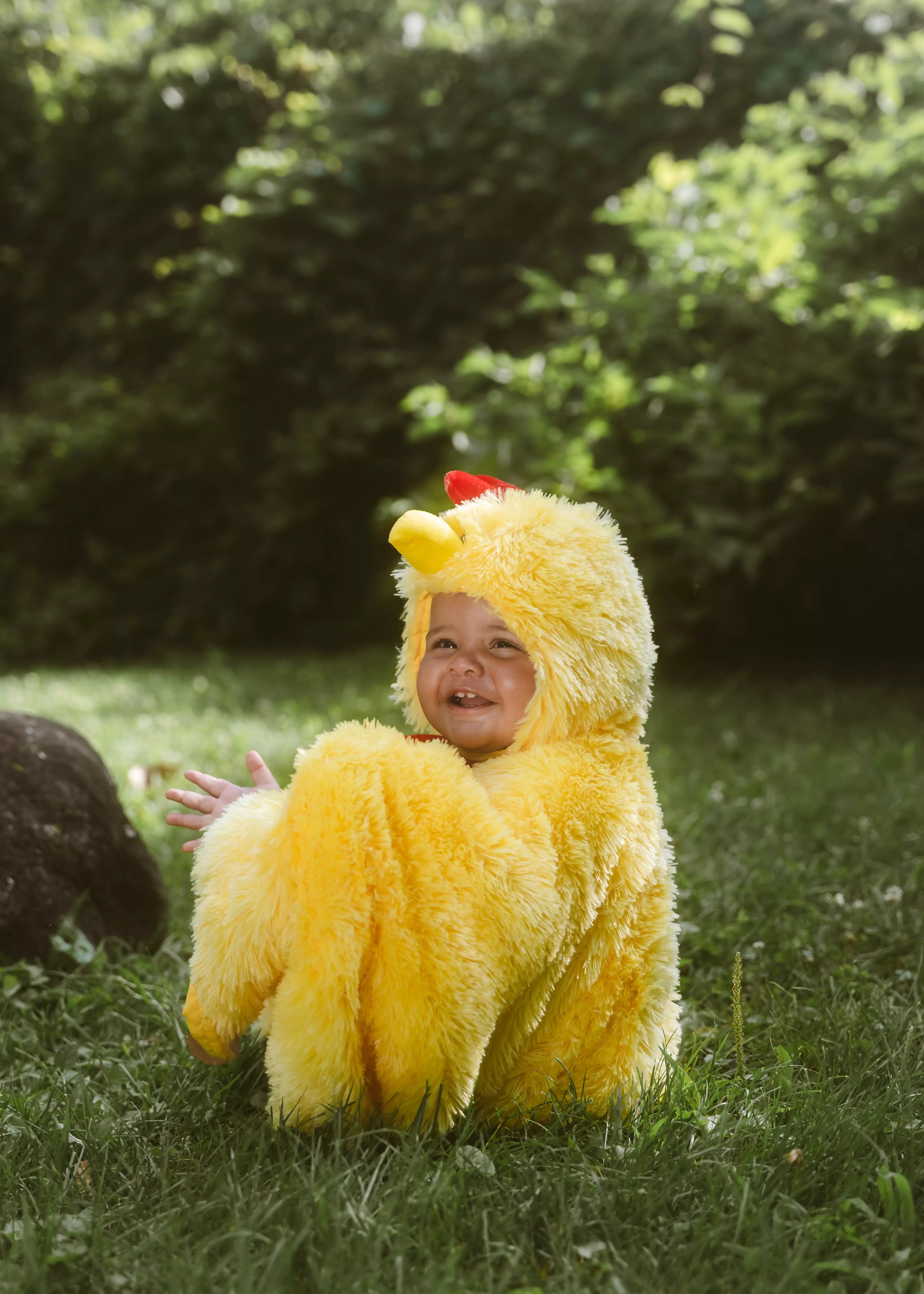Coco Village My First Rooster Cape Costume - 6-12M - Image 5