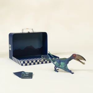 Coco Village Pterosauria Dinosaur in a Collectible Box