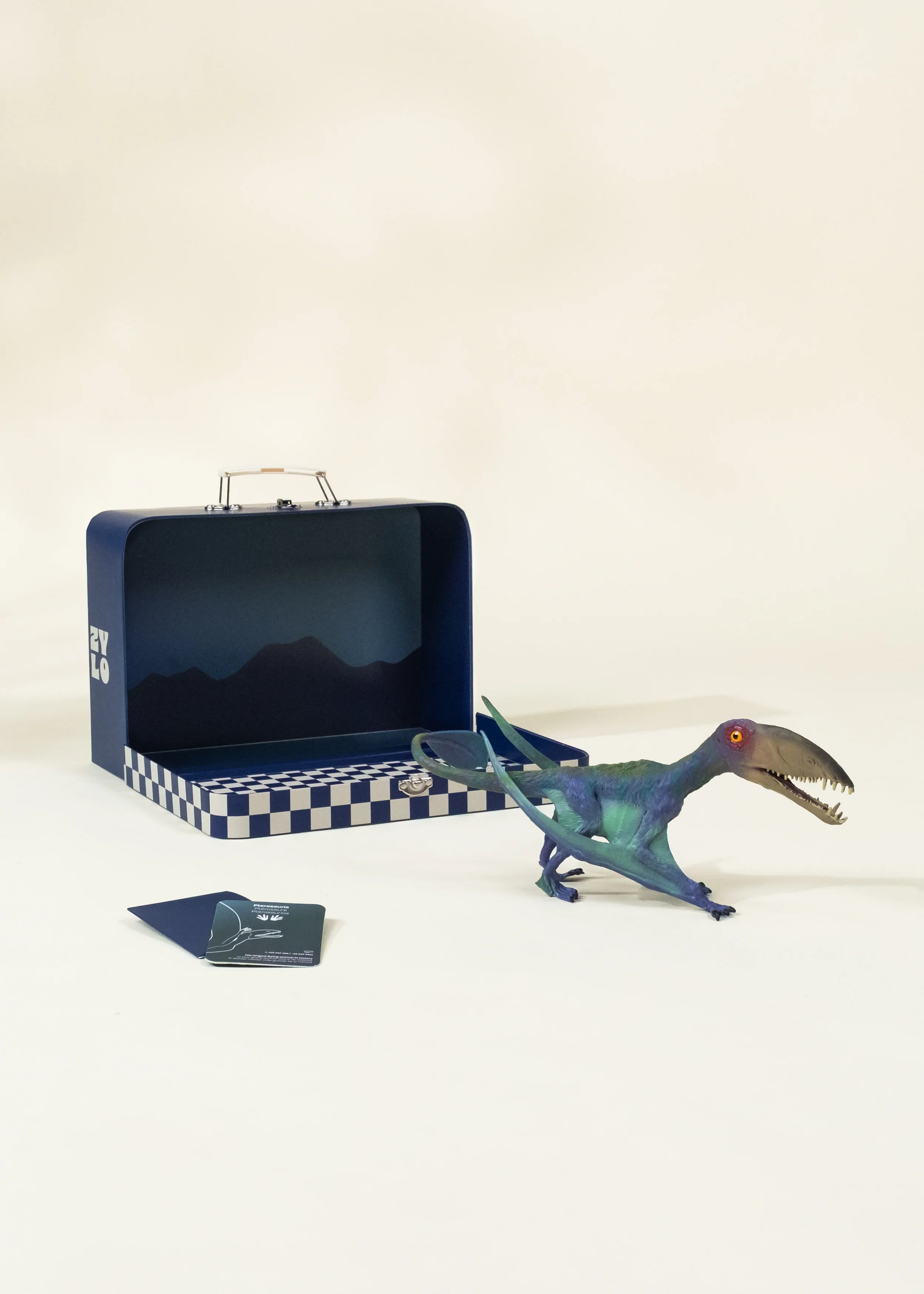 Coco Village Pterosauria Dinosaur in a Collectible Box