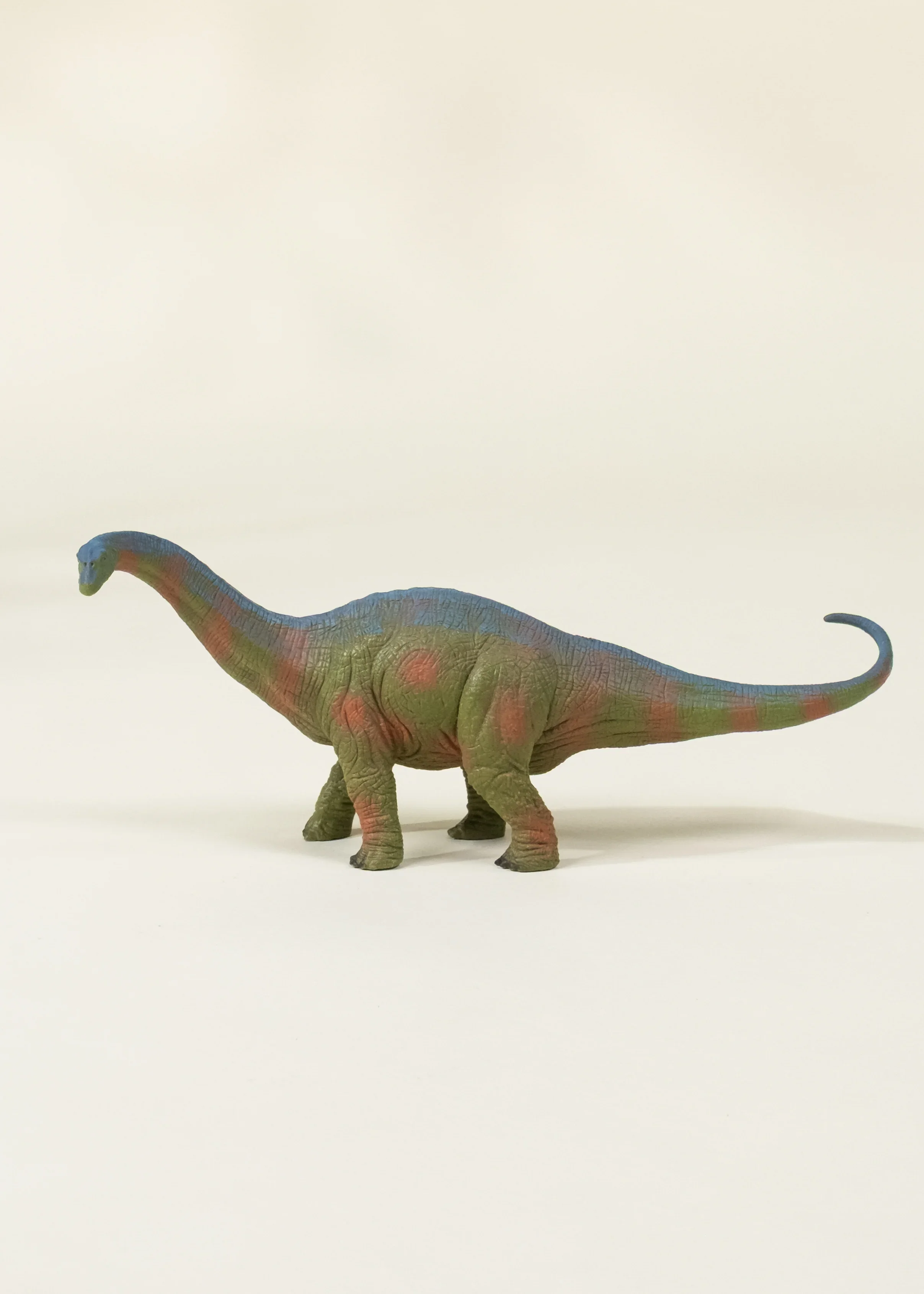 Coco Village Brachiosaurus Dinosaur in a Collectible Box - Image 6