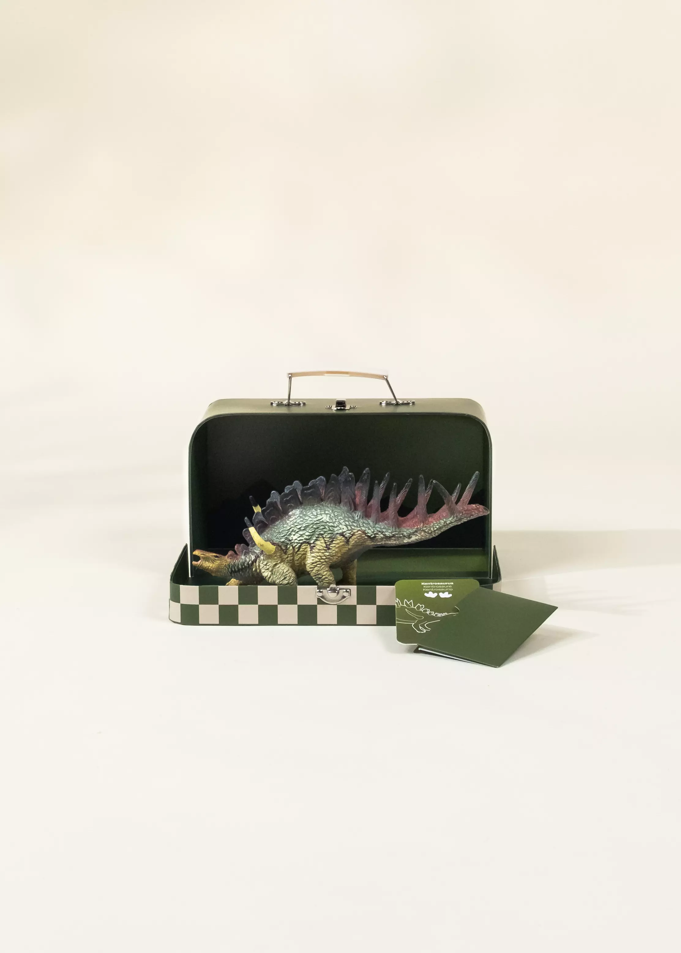 Coco Village Kentrosaurus Dinosaur in a Collectible Box - Image 4