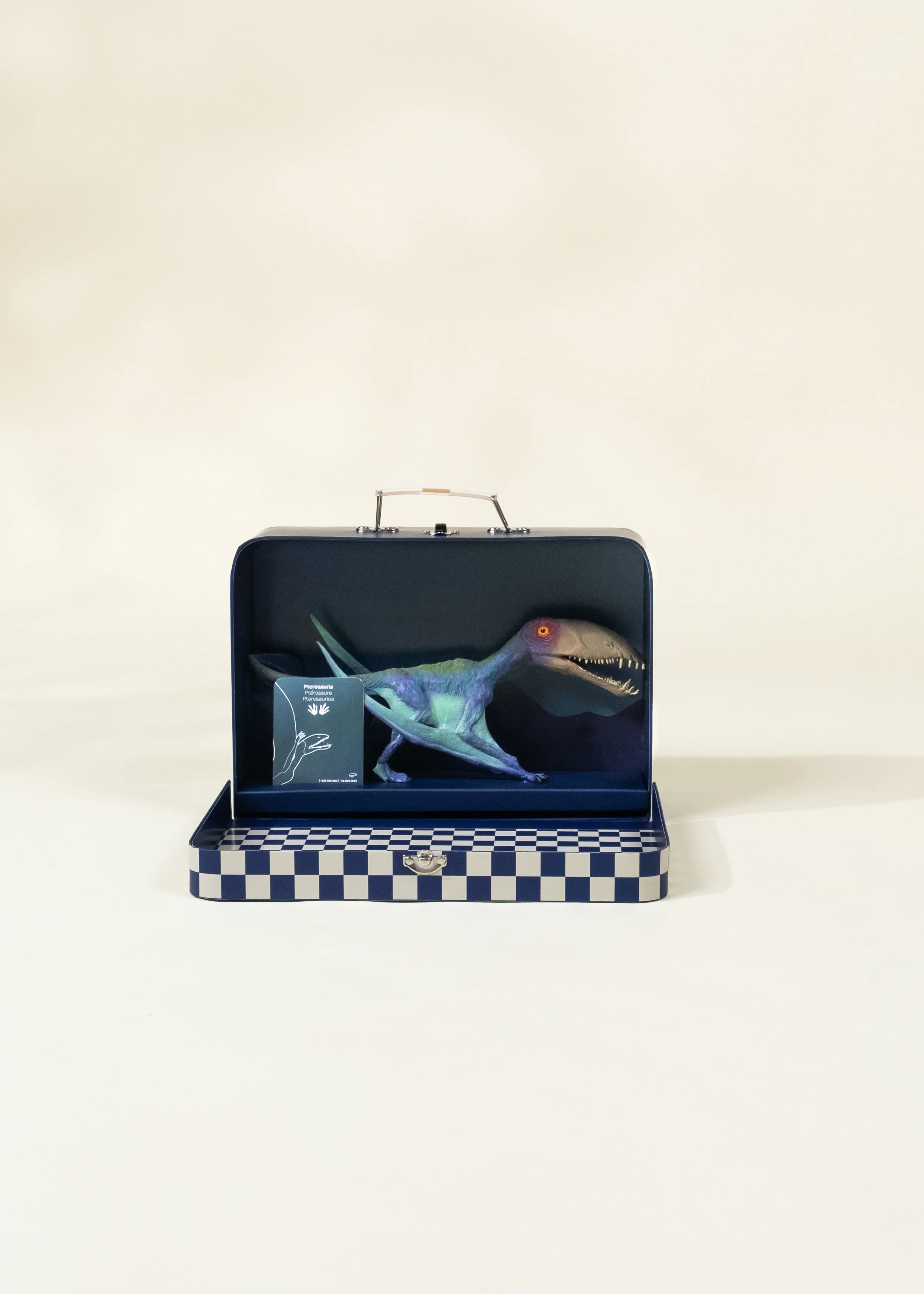 Coco Village Pterosauria Dinosaur in a Collectible Box - Image 4
