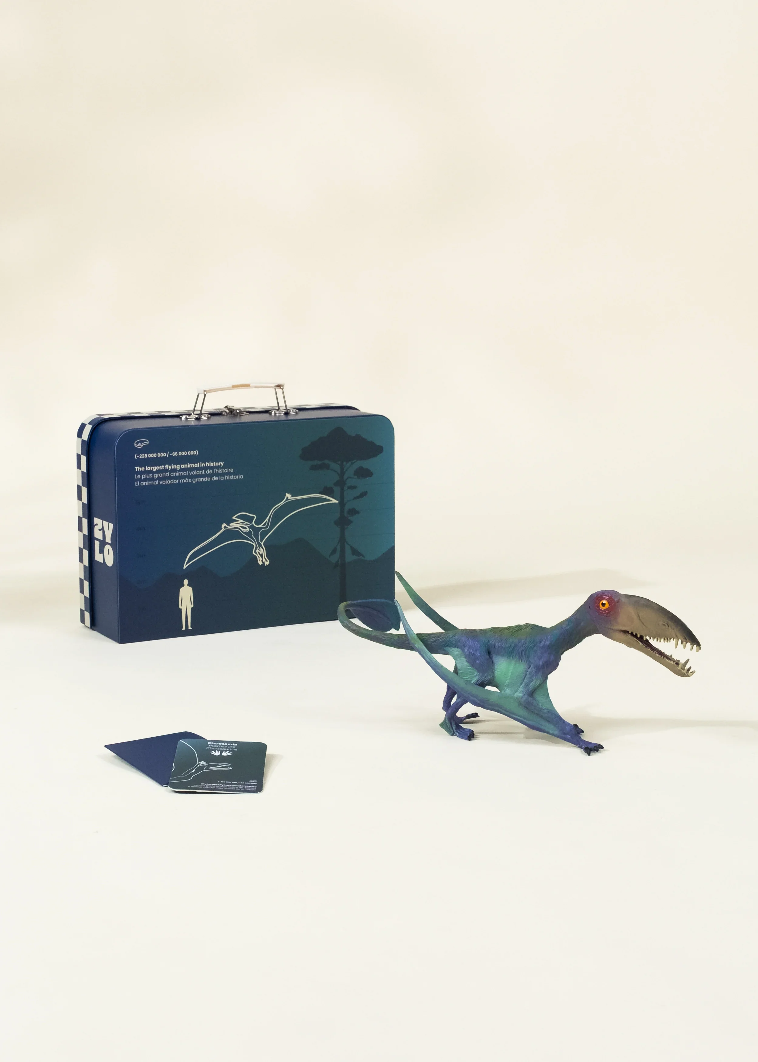 Coco Village Pterosauria Dinosaur in a Collectible Box - Image 2