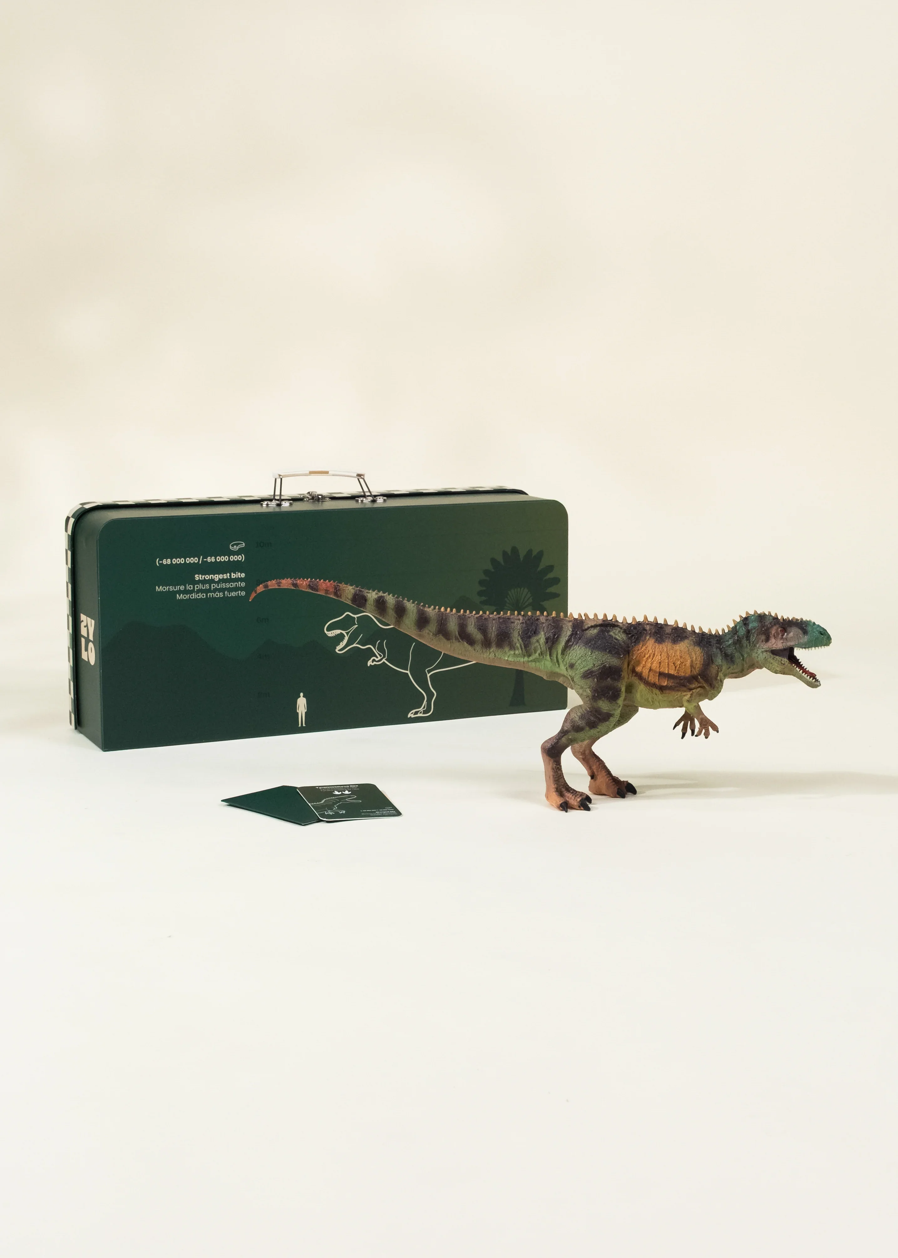 Coco Village Tyrannosaurus Rex Dinosaur in a Collectible Box - Image 4