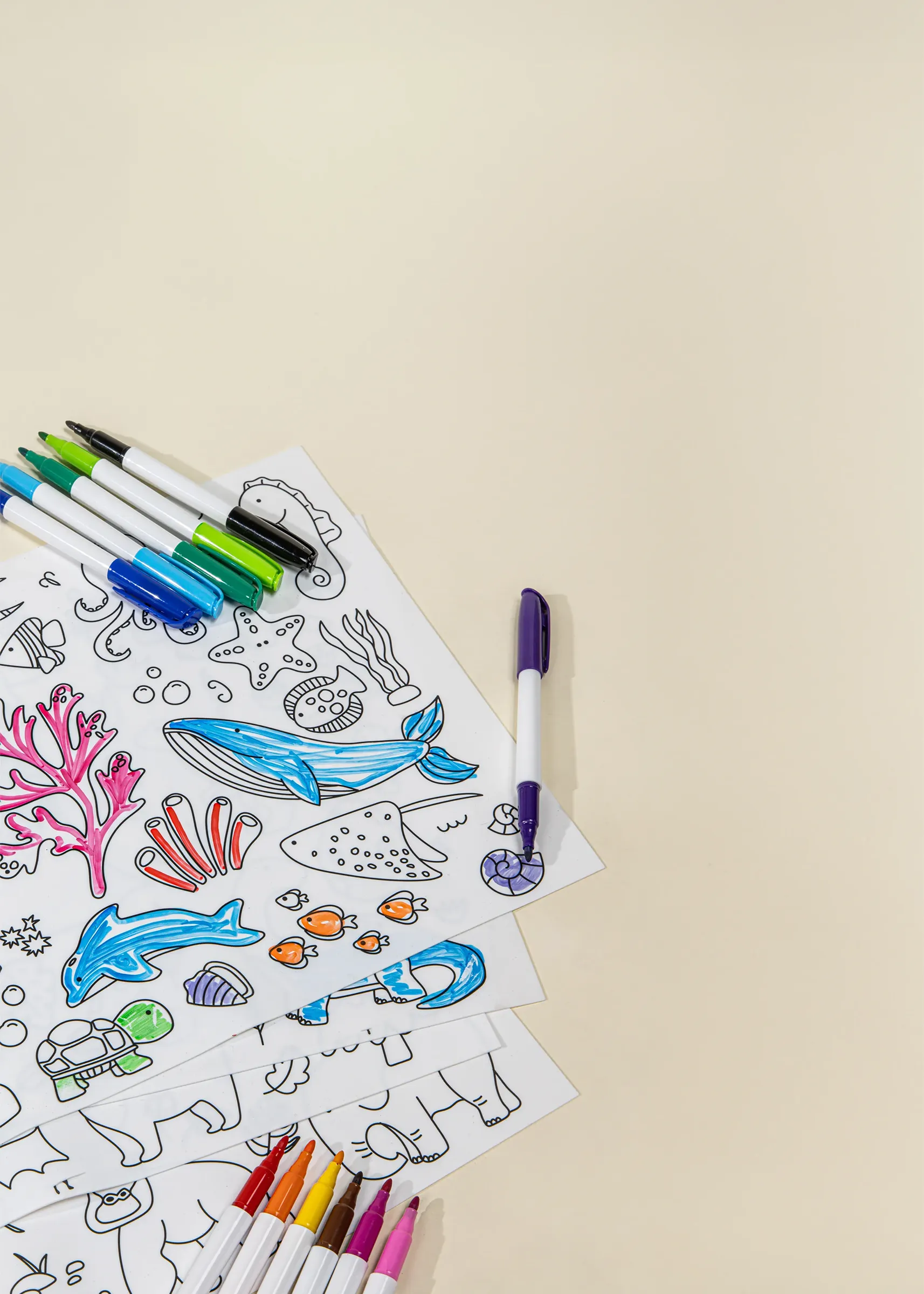 Coco Village Set of 4 Silicone Washable Coloring Placemats & Markers
