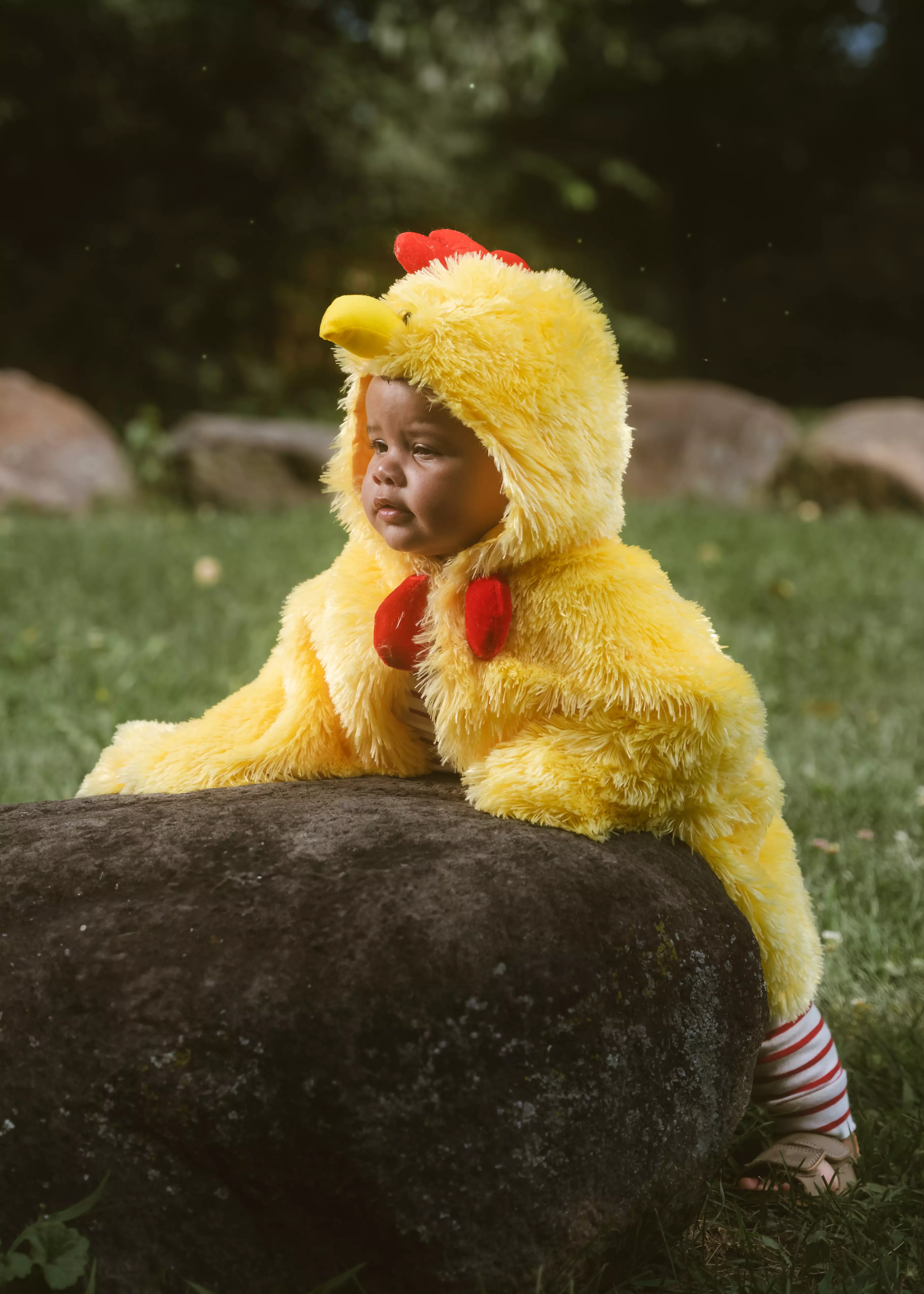 Coco Village My First Rooster Cape Costume - 6-12M - Image 4